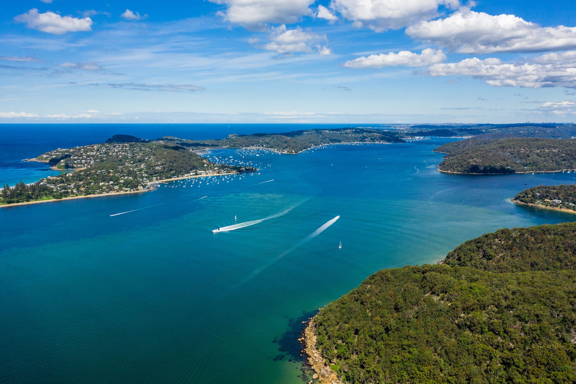 boat charters pittwater