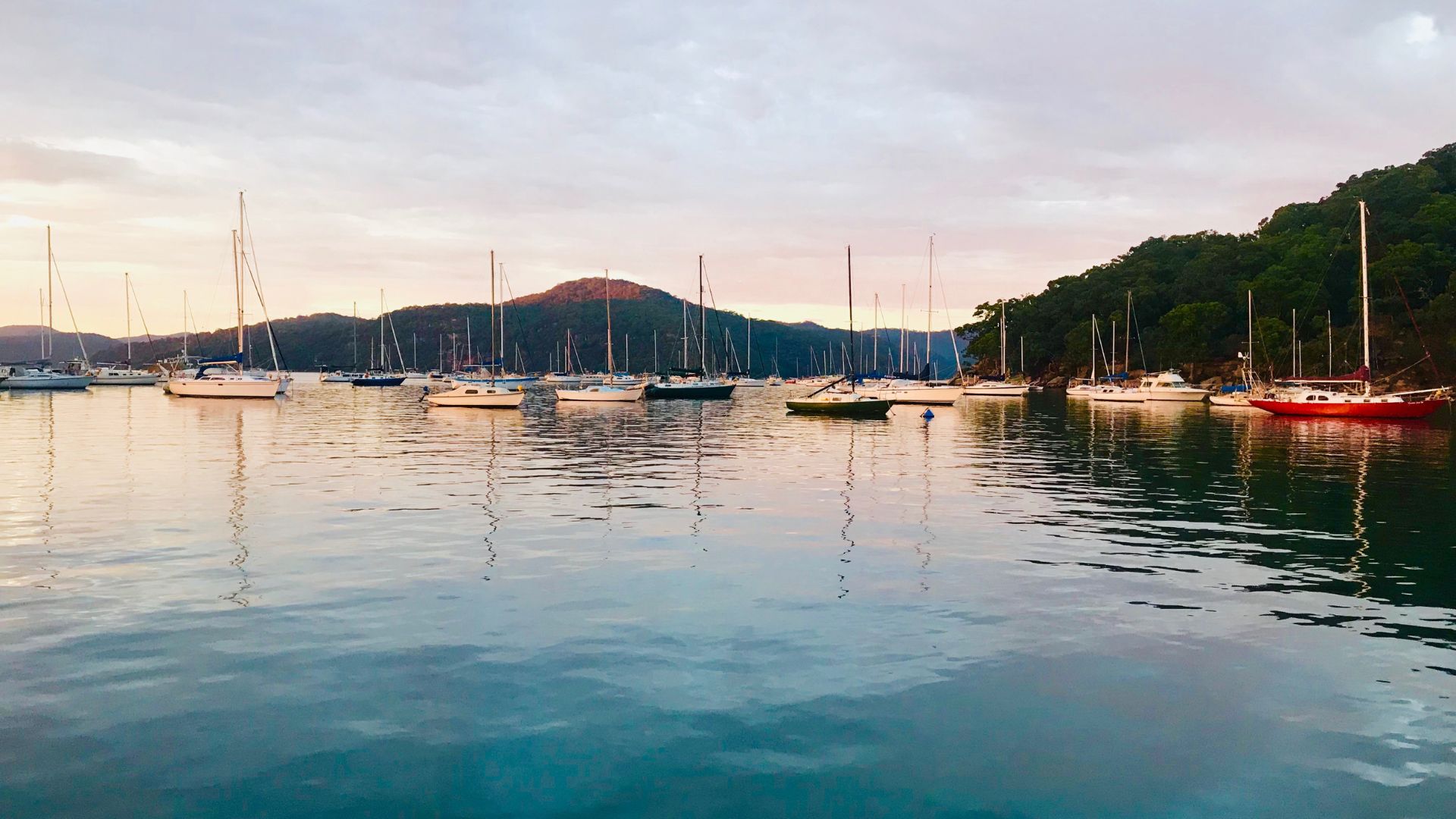 boat charters hawkesbury river